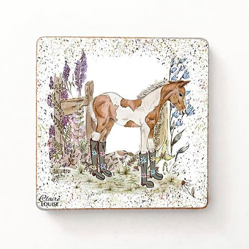 Foal Fridge Magnets