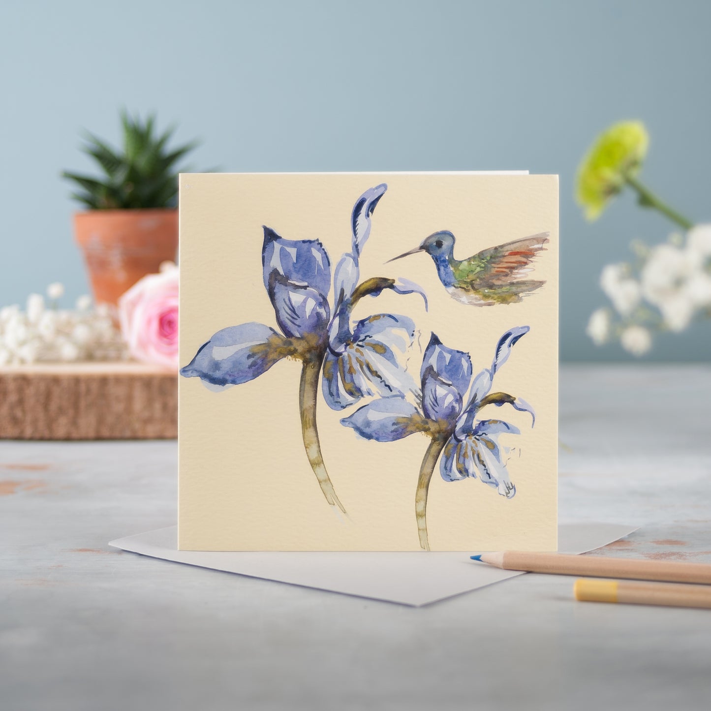 Azure Fusion - Pack of 6