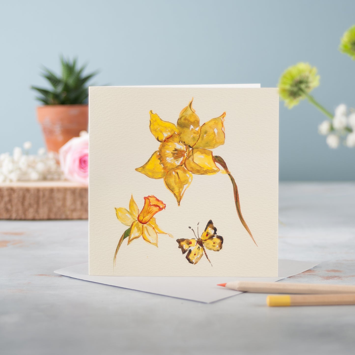 Sunny Savannah - Pack of 6
