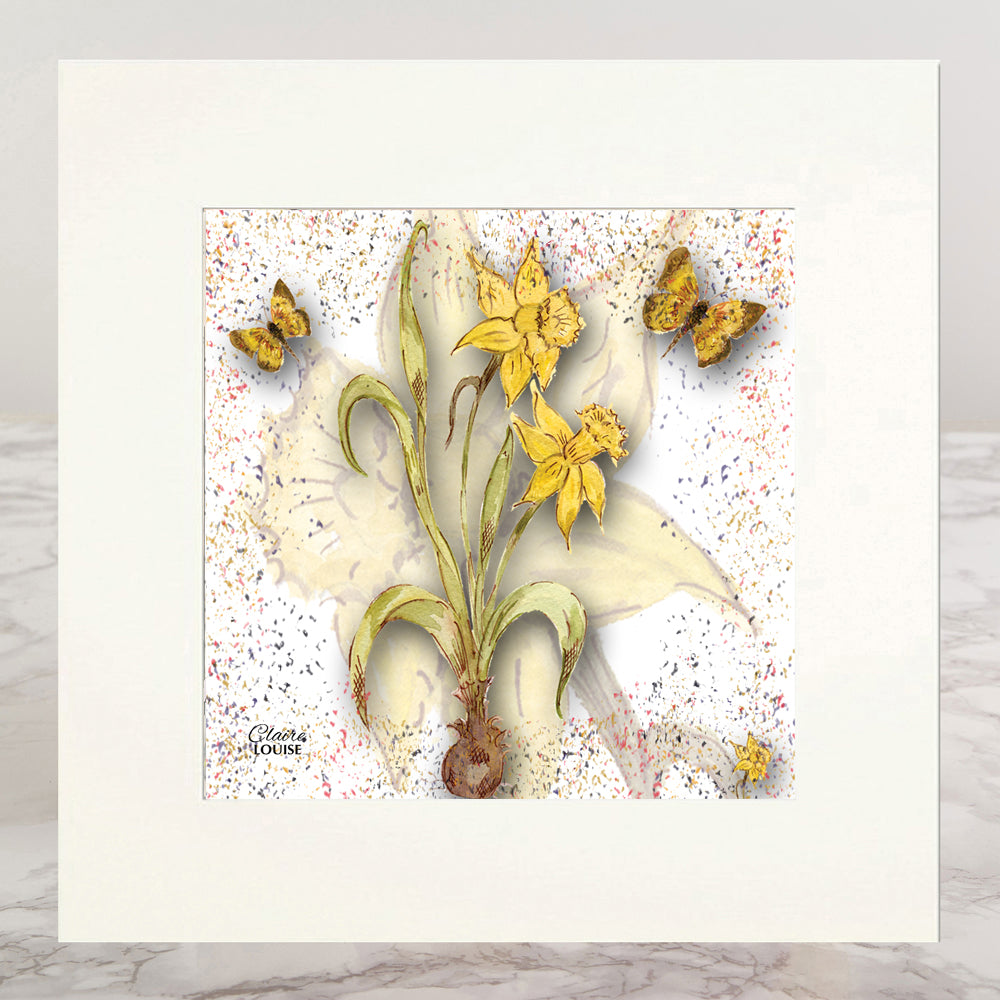 Powder Bloom Daffodil Mounted Print