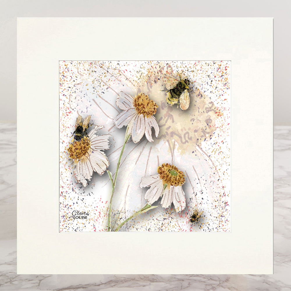 Powder Bloom Daisies Mounted Print