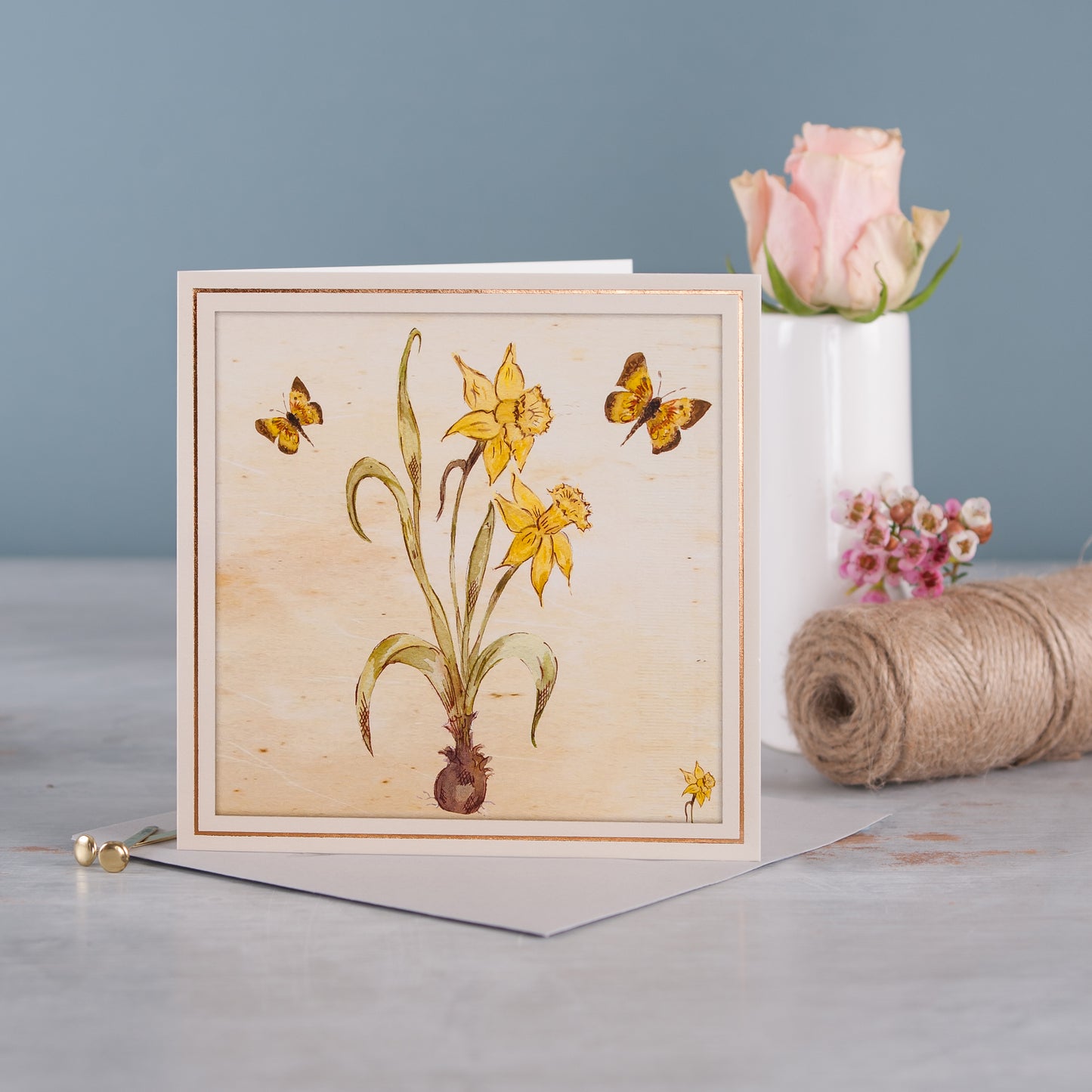 Daffodil - Pack of 6