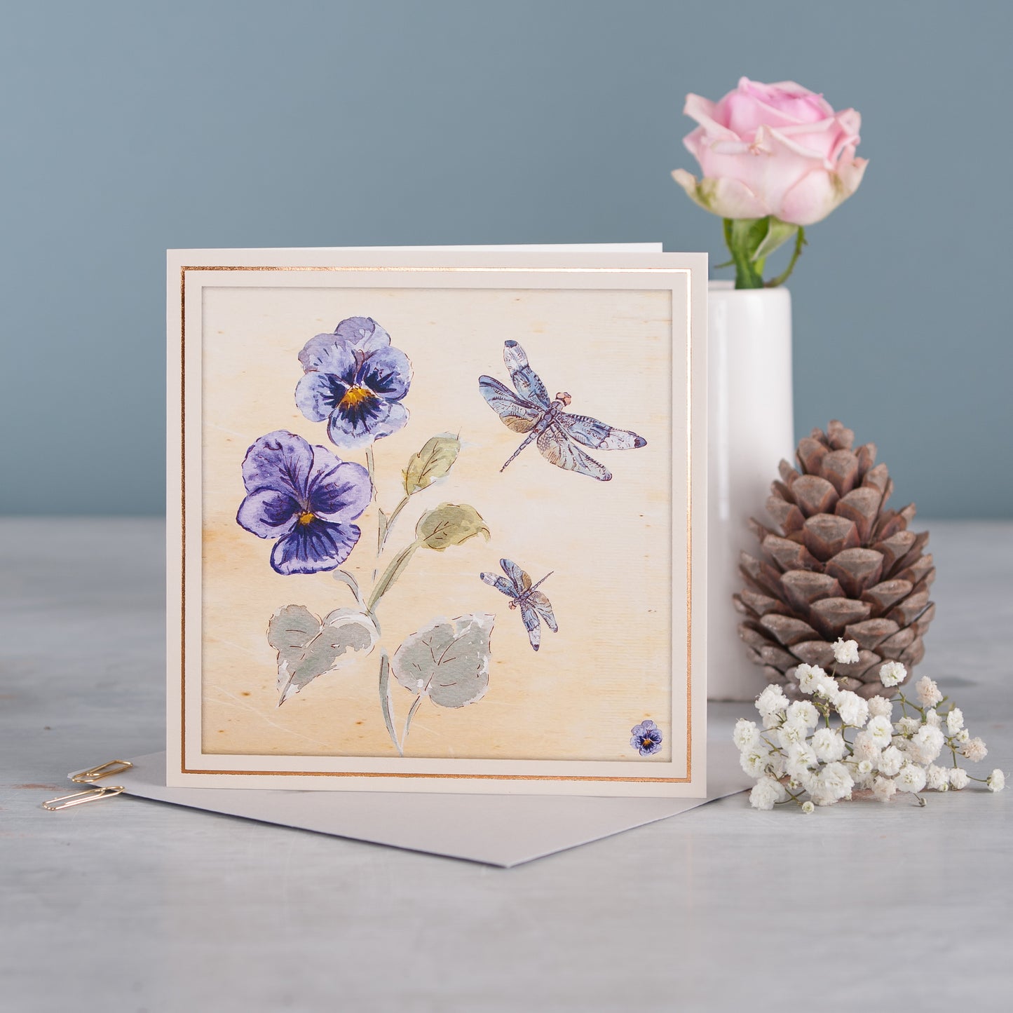 Pansies - Pack of 6