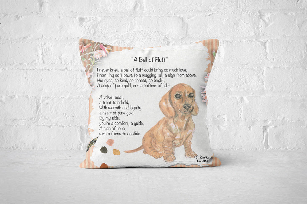 A Ball of Fluff Cushion - The Painted Poem
