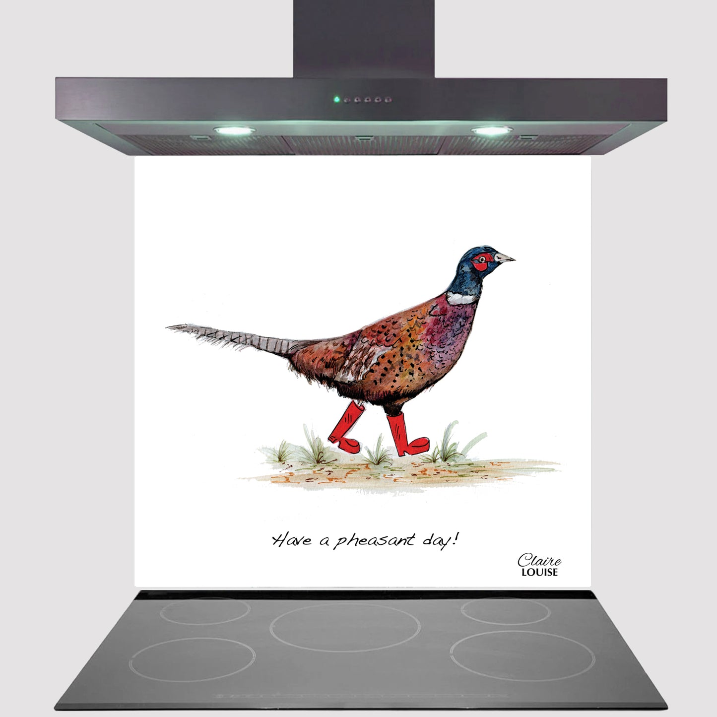 Pheasant In Boots Kitchen Glass Splashback