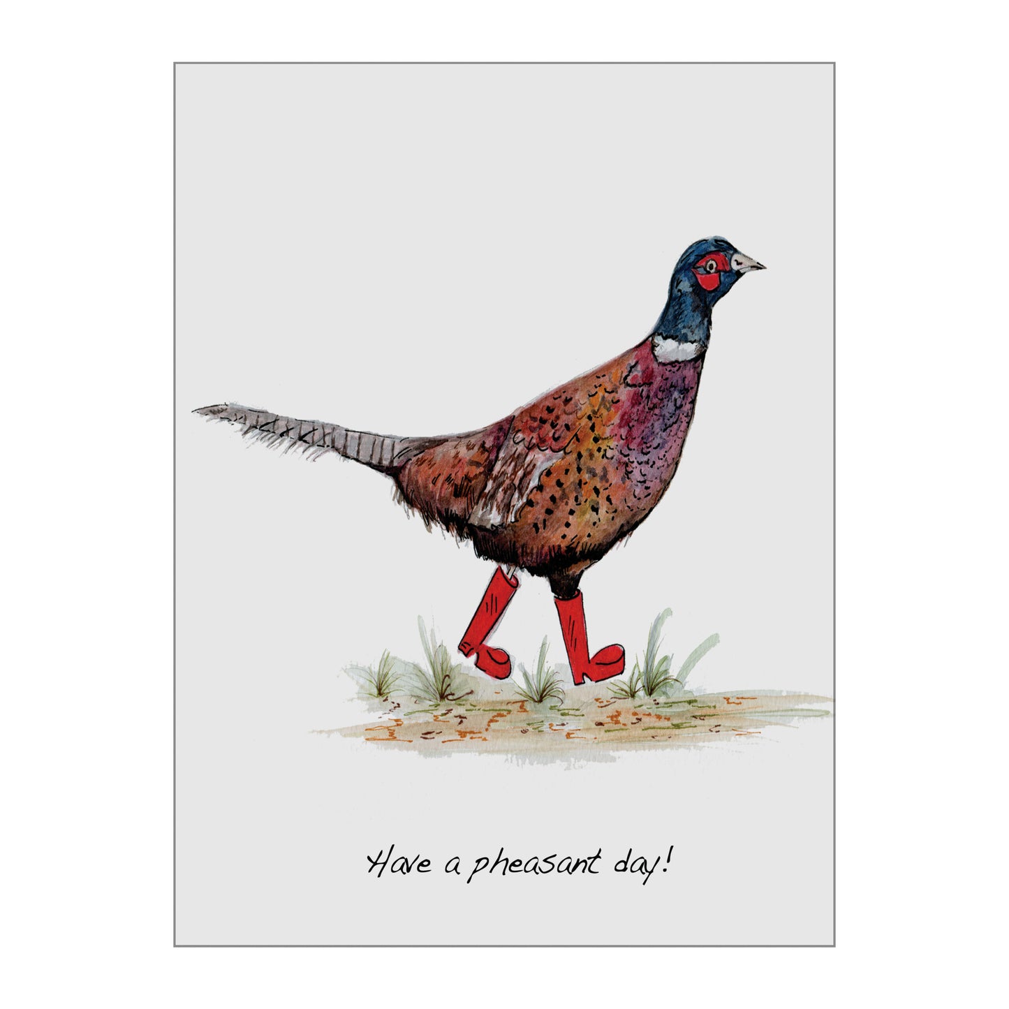 Pheasant In Boots Glass Wall Art