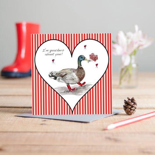Duck Love Greetings Card - Pack of 6