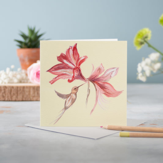 Ruby Fountain - Pack of 6
