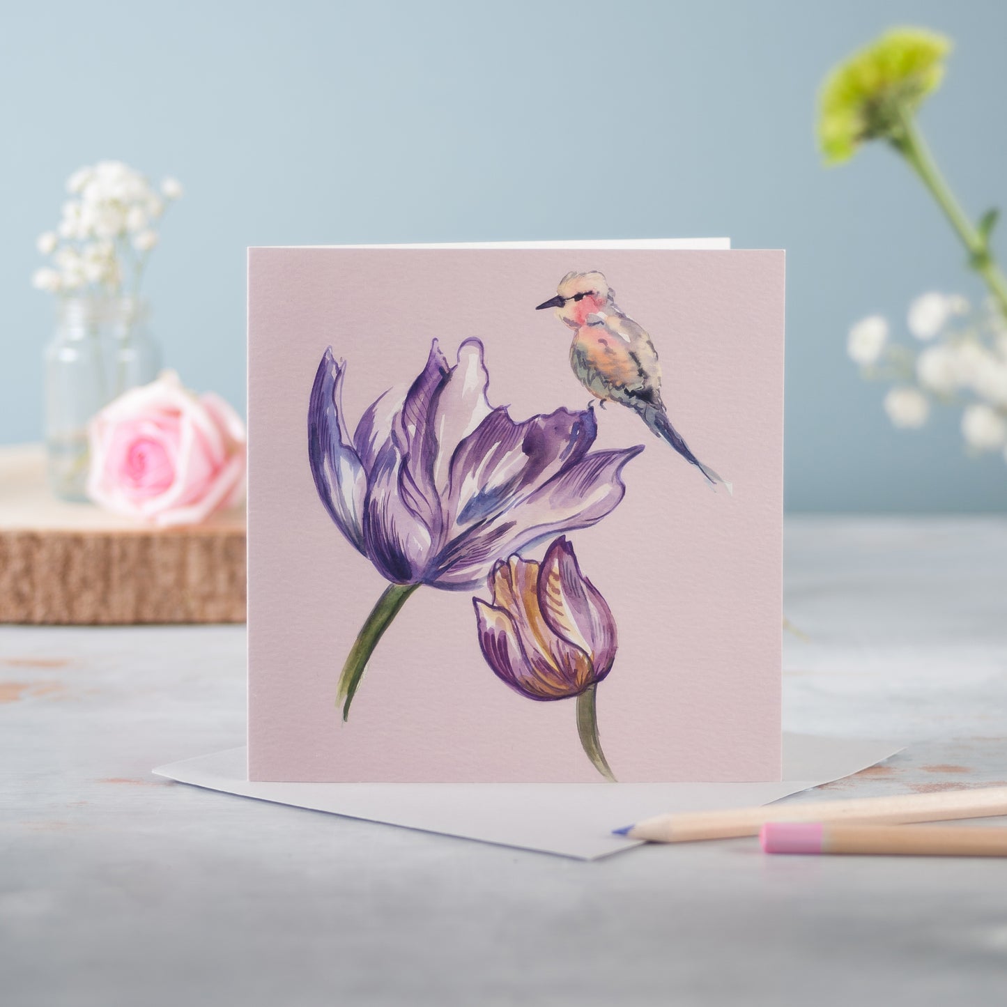 Violet Verona - Pack of 6
