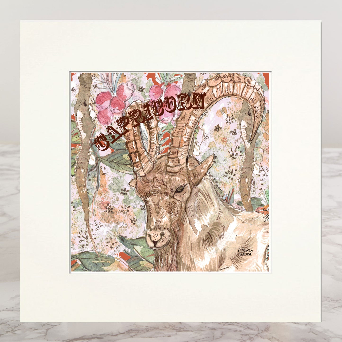Capricorn Mounted Print