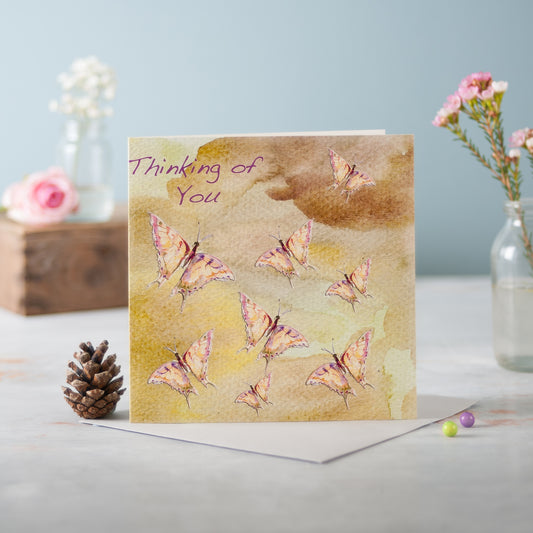 Flutter - Pack of 6