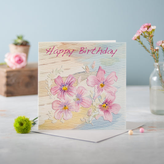 Jasmine - Pack of 6