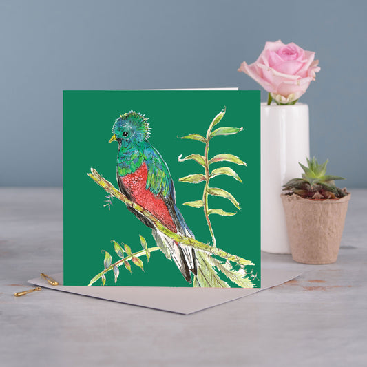 Tropical Bird Greetings Card - Pack of 6