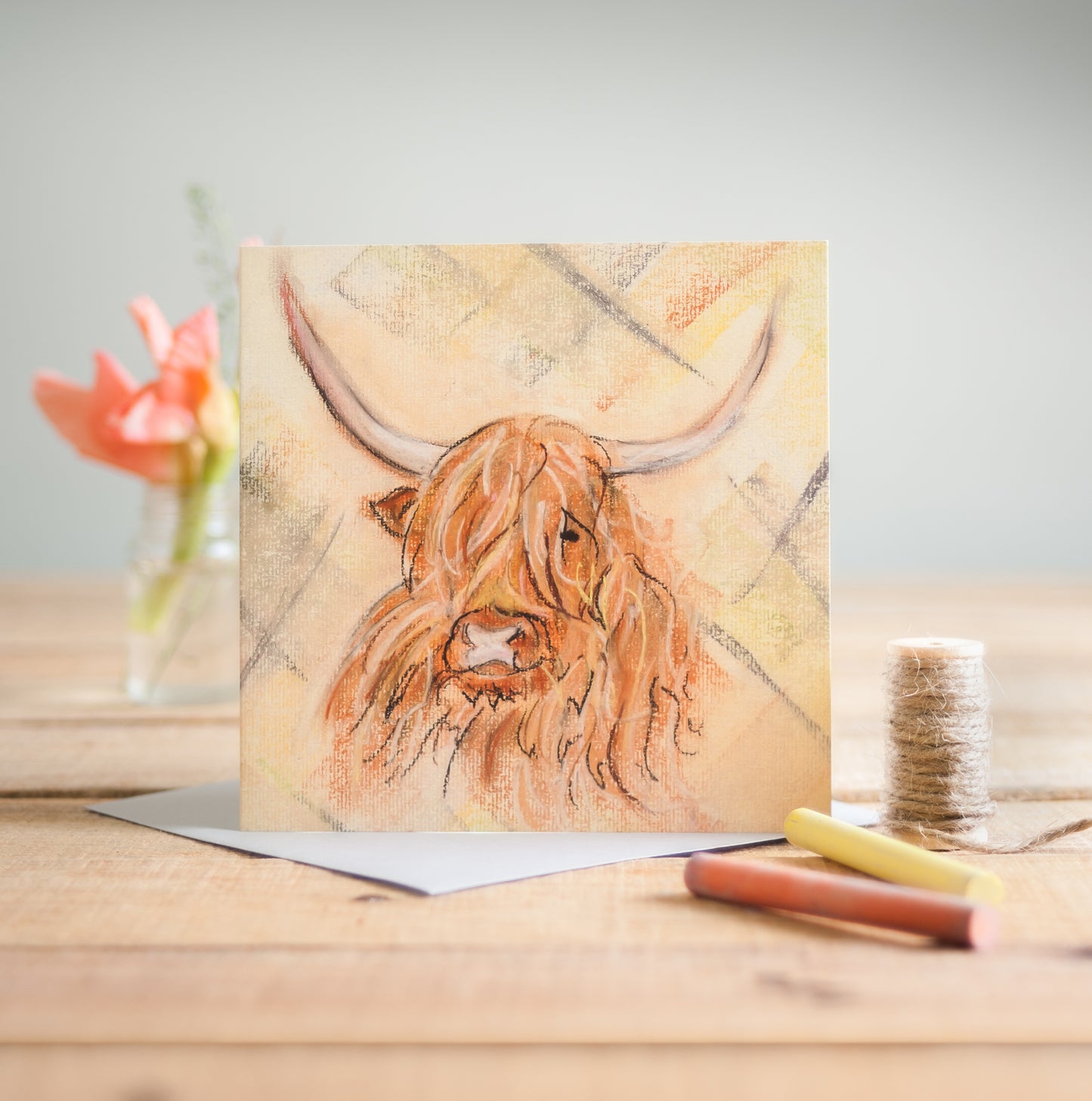 Highland Cow - Pack of 6