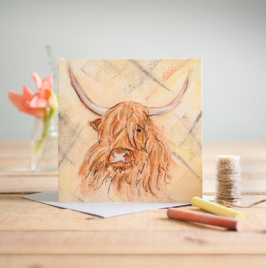 Highland Cow - Pack of 6