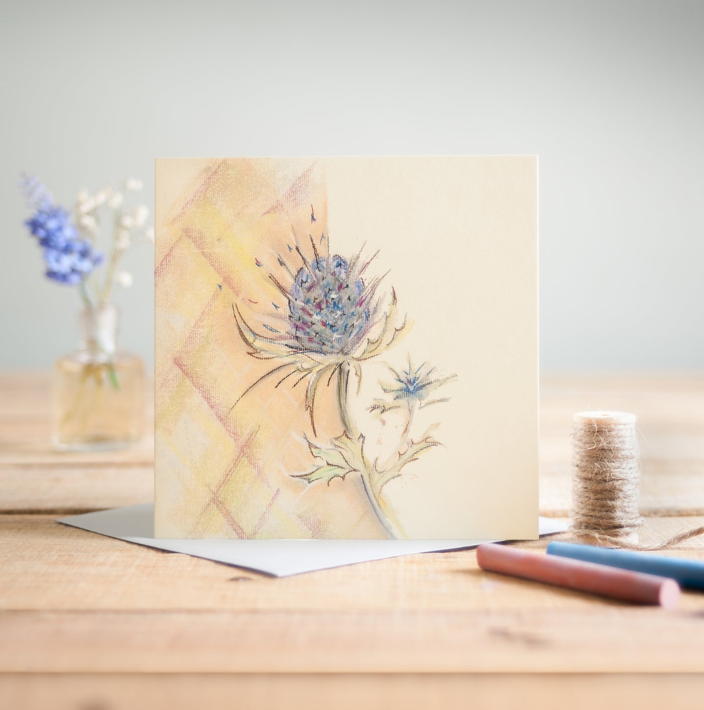 Thistle - Pack of 6