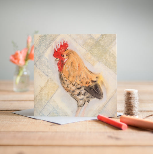 Cockere - Pack of 6