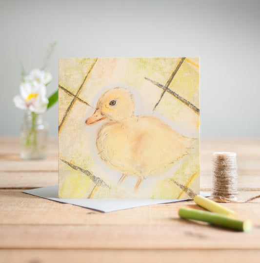 Duckling - Pack of 6