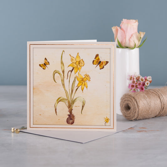 Daffodil - Pack of 6