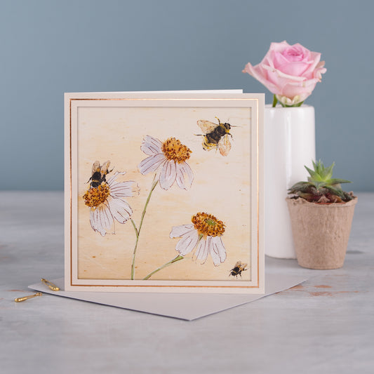Daisies - Pack of 6