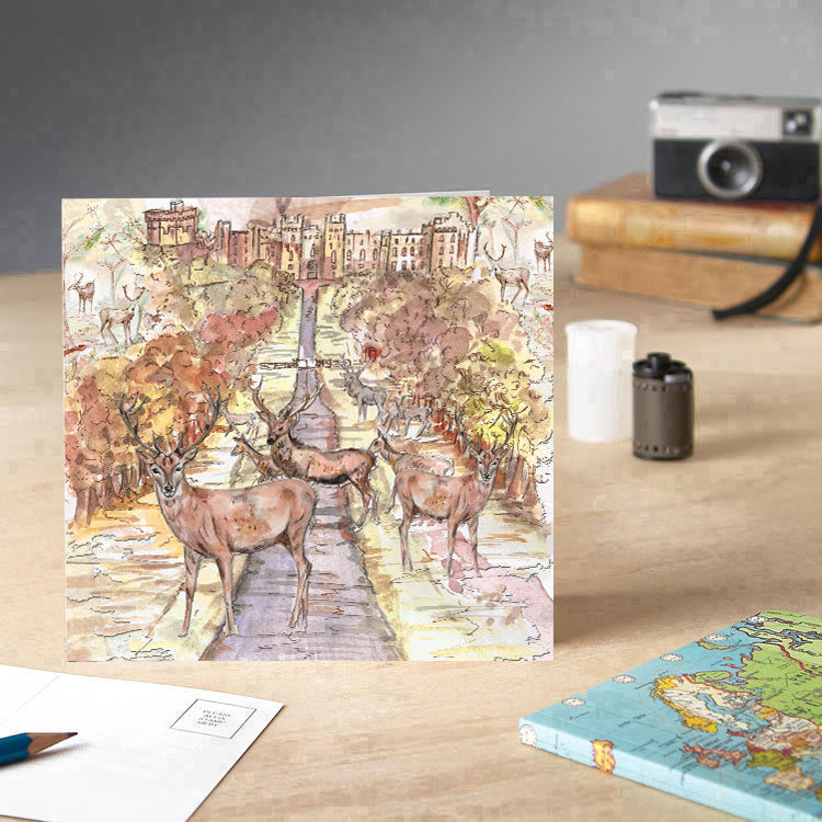 Windsor Great Park Greetings Card - Pack of 6