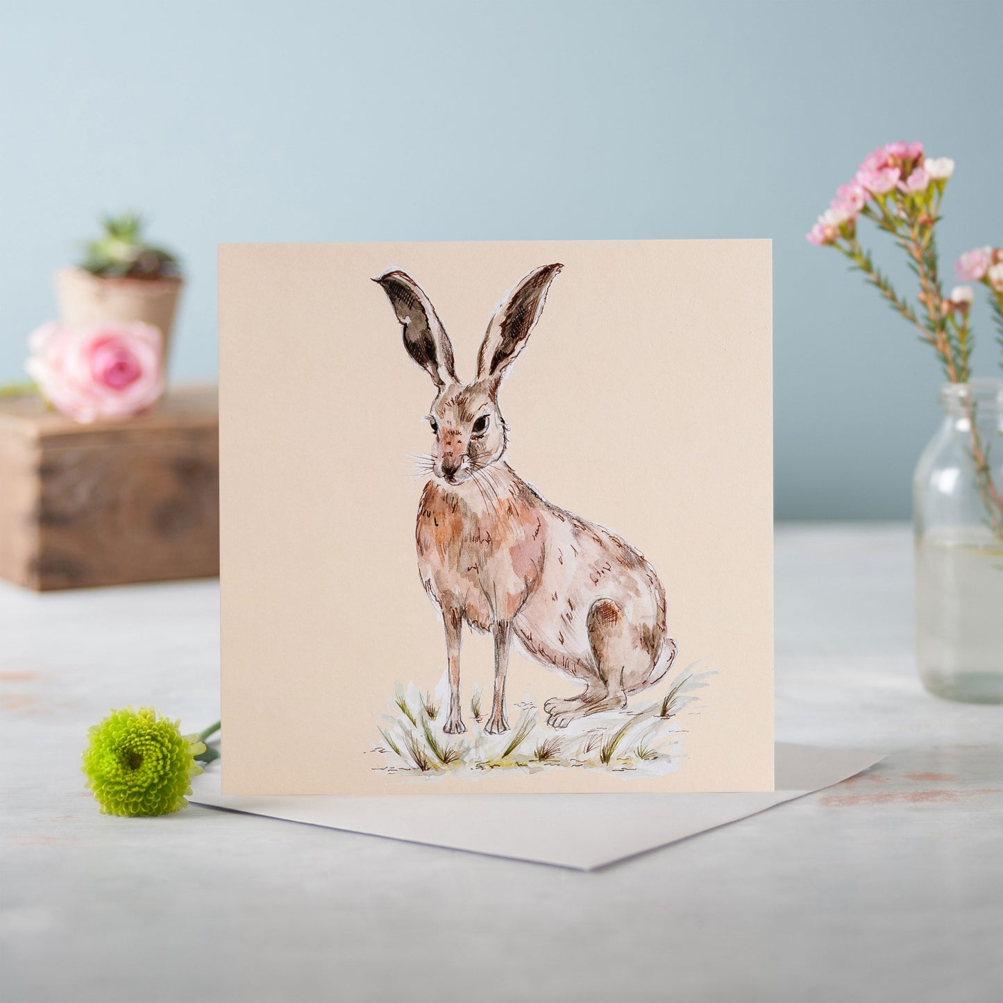 The Wild Hare - Pack of 6