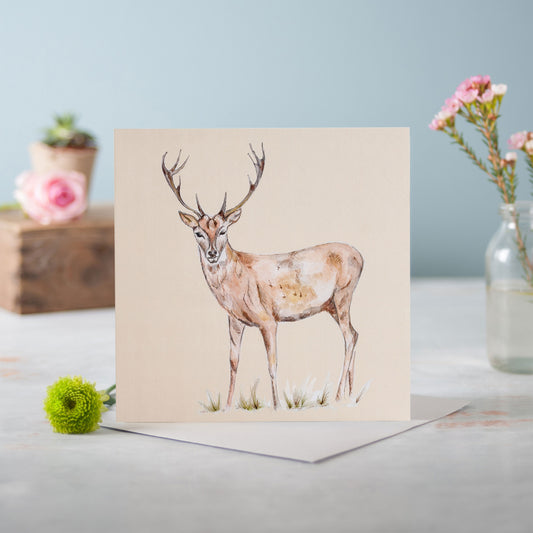 The Stag - Pack of 6