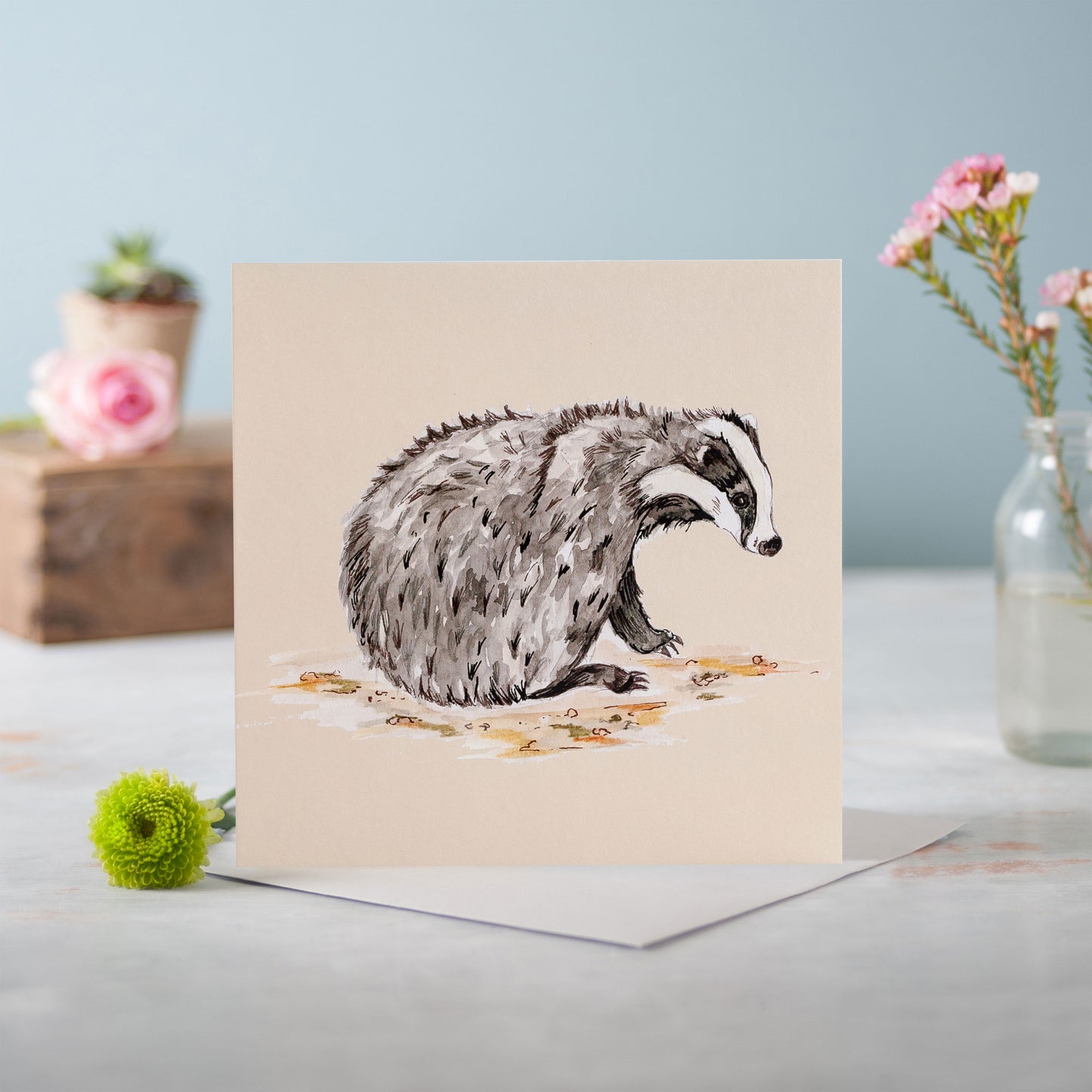 The Badger - Pack of 6