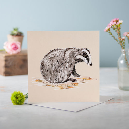The Badger - Pack of 6