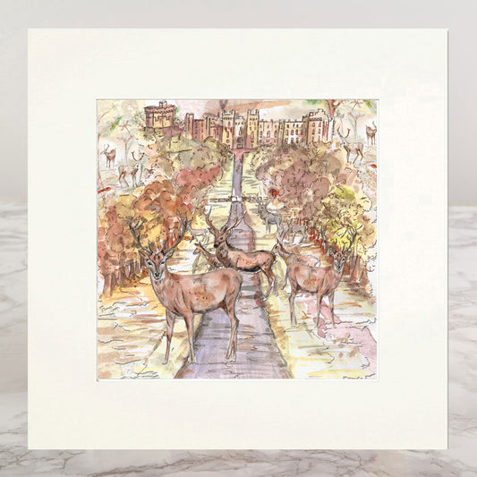 Windsor Great Park Mounted Print